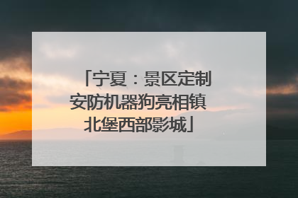 宁夏：景区定制安防机器狗亮相镇北堡西部影城