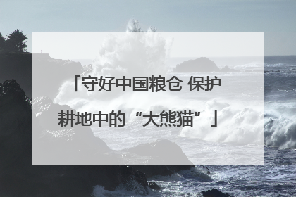 守好中国粮仓 保护耕地中的“大熊猫”