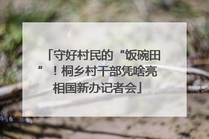 守好村民的“饭碗田”！桐乡村干部凭啥亮相国新办记者会