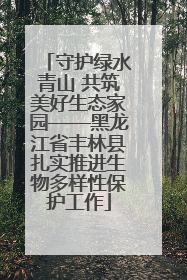 守护绿水青山 共筑美好生态家园——黑龙江省丰林县扎实推进生物多样性保护工作