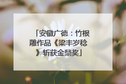 安徽广德：竹根雕作品《梁丰岁稔》斩获金鼎奖