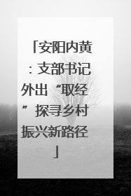 安阳内黄：支部书记外出“取经”探寻乡村振兴新路径