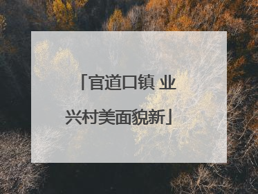 官道口镇 业兴村美面貌新