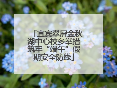 宜宾翠屏金秋湖中心校多举措筑牢“端午”假期安全防线