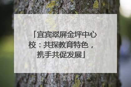 宜宾翠屏金坪中心校：共探教育特色，携手共促发展