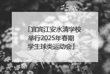 宜宾江安水清学校举行2025年春期学生球类运动会