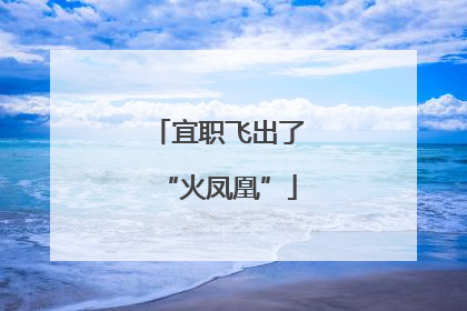 宜职飞出了“火凤凰”