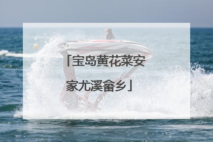 宝岛黄花菜安家尤溪畲乡