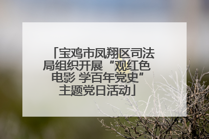 宝鸡市凤翔区司法局组织开展“观红色电影 学百年党史”主题党日活动