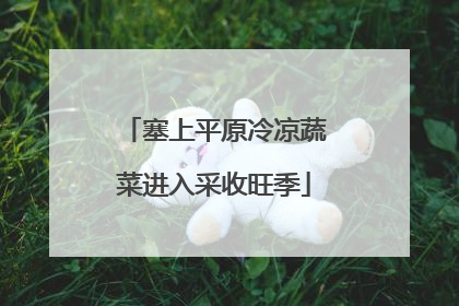 塞上平原冷凉蔬菜进入采收旺季