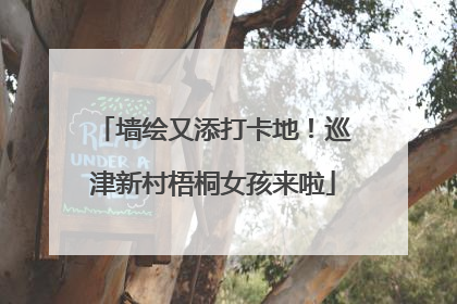 墙绘又添打卡地！巡津新村梧桐女孩来啦
