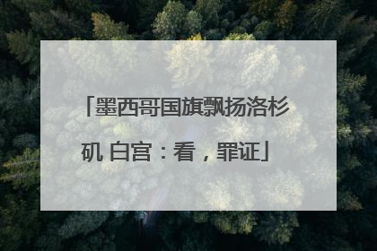 墨西哥国旗飘扬洛杉矶 白宫：看，罪证