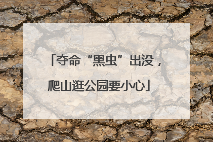 夺命“黑虫”出没，爬山逛公园要小心