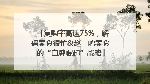 复购率高达75%，解码零食很忙&赵一鸣零食的“白牌崛起”战略