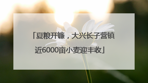 夏粮开镰，大兴长子营镇近6000亩小麦迎丰收