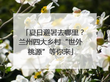夏日避暑去哪里？兰州四大乡村“世外桃源”等你来