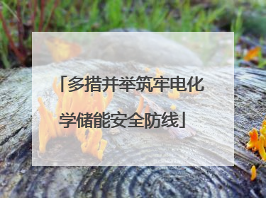 多措并举筑牢电化学储能安全防线