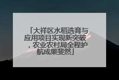 大祥区水稻选育与应用项目实现新突破，农业农村局全程护航成果斐然