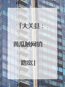 大关县：黄瓜触网销路宽