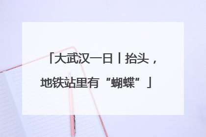 大武汉一日丨抬头，地铁站里有“蝴蝶”