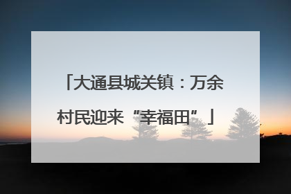 大通县城关镇：万余村民迎来“幸福田”