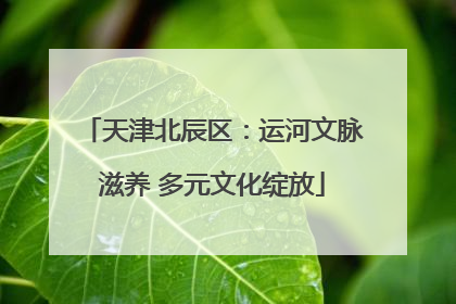 天津北辰区：运河文脉滋养 多元文化绽放