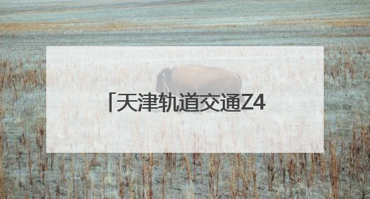 天津轨道交通Z4线建设稳步推进
