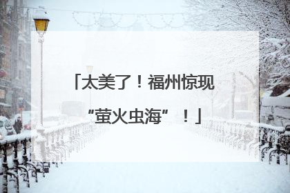 太美了！福州惊现“萤火虫海”！