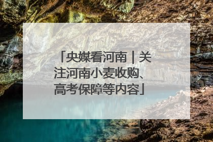 央媒看河南｜关注河南小麦收购、高考保障等内容