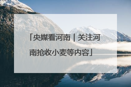 央媒看河南｜关注河南抢收小麦等内容