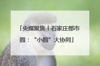 央媒聚焦丨石家庄都市圈：“小圈”大协同