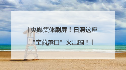 央媒集体刷屏！日照这座“宝藏港口”火出圈！