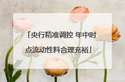 央行精准调控 年中时点流动性料合理充裕