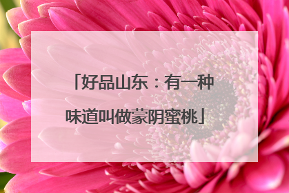 好品山东：有一种味道叫做蒙阴蜜桃