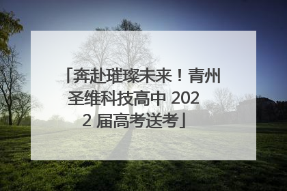 奔赴璀璨未来！青州圣维科技高中 2022 届高考送考