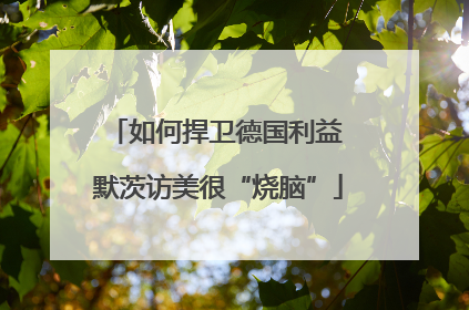 如何捍卫德国利益 默茨访美很“烧脑”