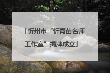 忻州市“忻青苗名师工作室”揭牌成立