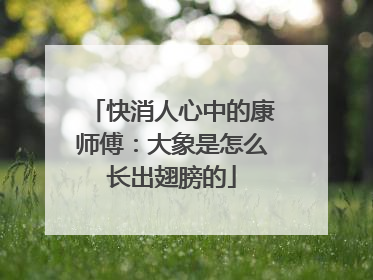 快消人心中的康师傅：大象是怎么长出翅膀的
