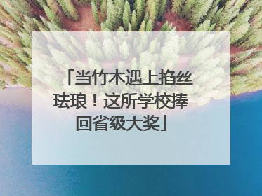 当竹木遇上掐丝珐琅！这所学校捧回省级大奖