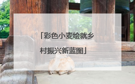 彩色小麦绘就乡村振兴新蓝图
