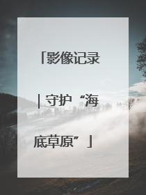 影像记录｜守护“海底草原”