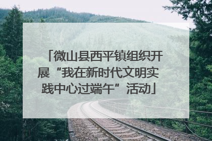 微山县西平镇组织开展“我在新时代文明实践中心过端午”活动