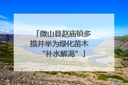 微山县赵庙镇多措并举为绿化苗木“补水解渴”