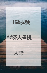 微视频｜经济大省挑大梁