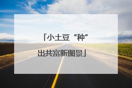 小土豆“种”出共富新图景