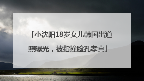 小沈阳18岁女儿韩国出道照曝光，被指撞脸孔孝真