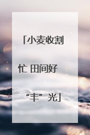 小麦收割忙 田间好“丰”光