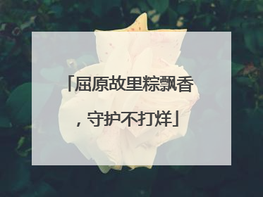 屈原故里粽飘香，守护不打烊