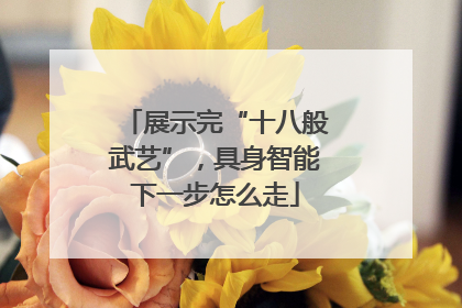展示完“十八般武艺”，具身智能下一步怎么走
