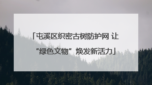 屯溪区织密古树防护网 让“绿色文物”焕发新活力